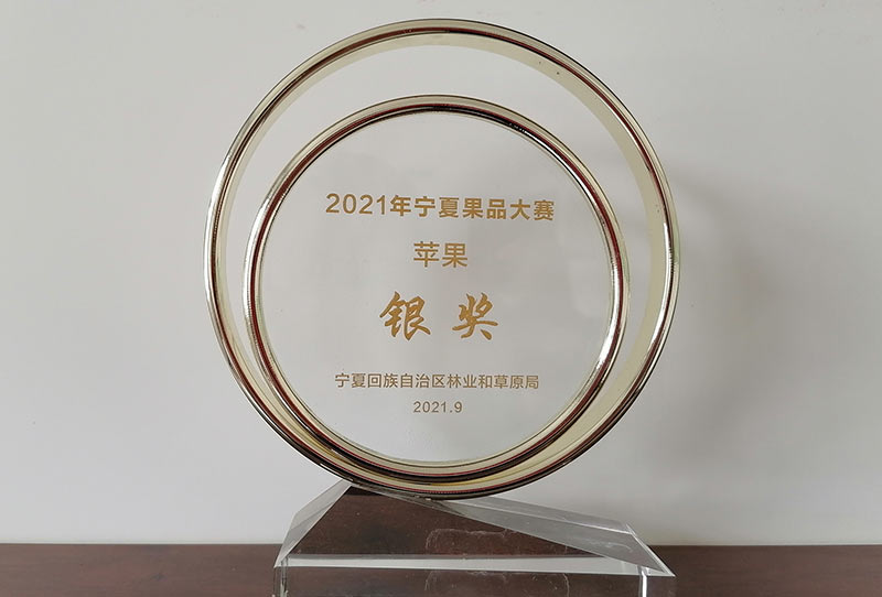 寧夏2021果品大賽蘋(píng)果銀獎(jiǎng)獎(jiǎng)杯